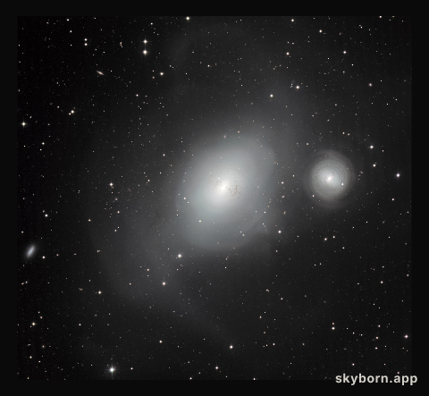 The contrasting galaxies NGC 1316 and 1317