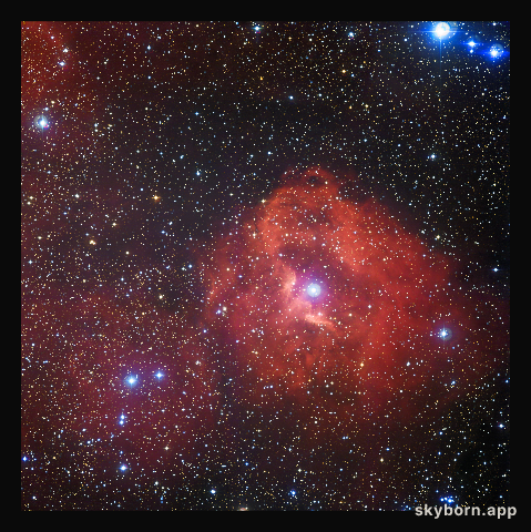 The star formation region Gum 41