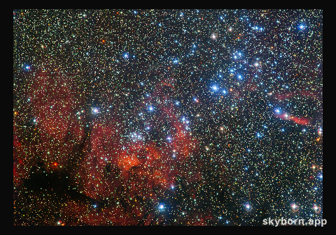 The colourful star cluster NGC 3590