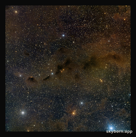 Wide-field view of part of the Taurus star formation region