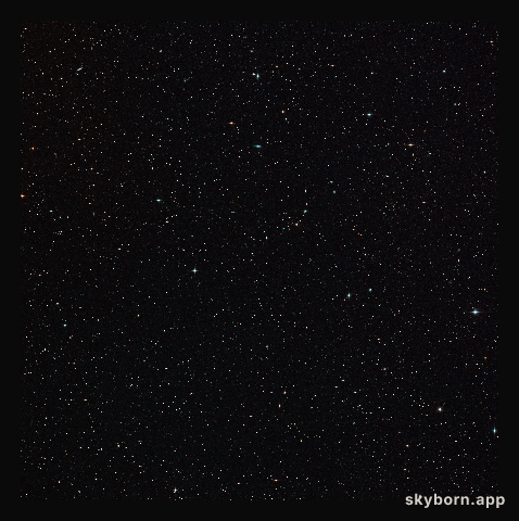 Wide-field view of the sky around the gravitationally lensed galaxy merger H-ATLAS J142935.3-002836
