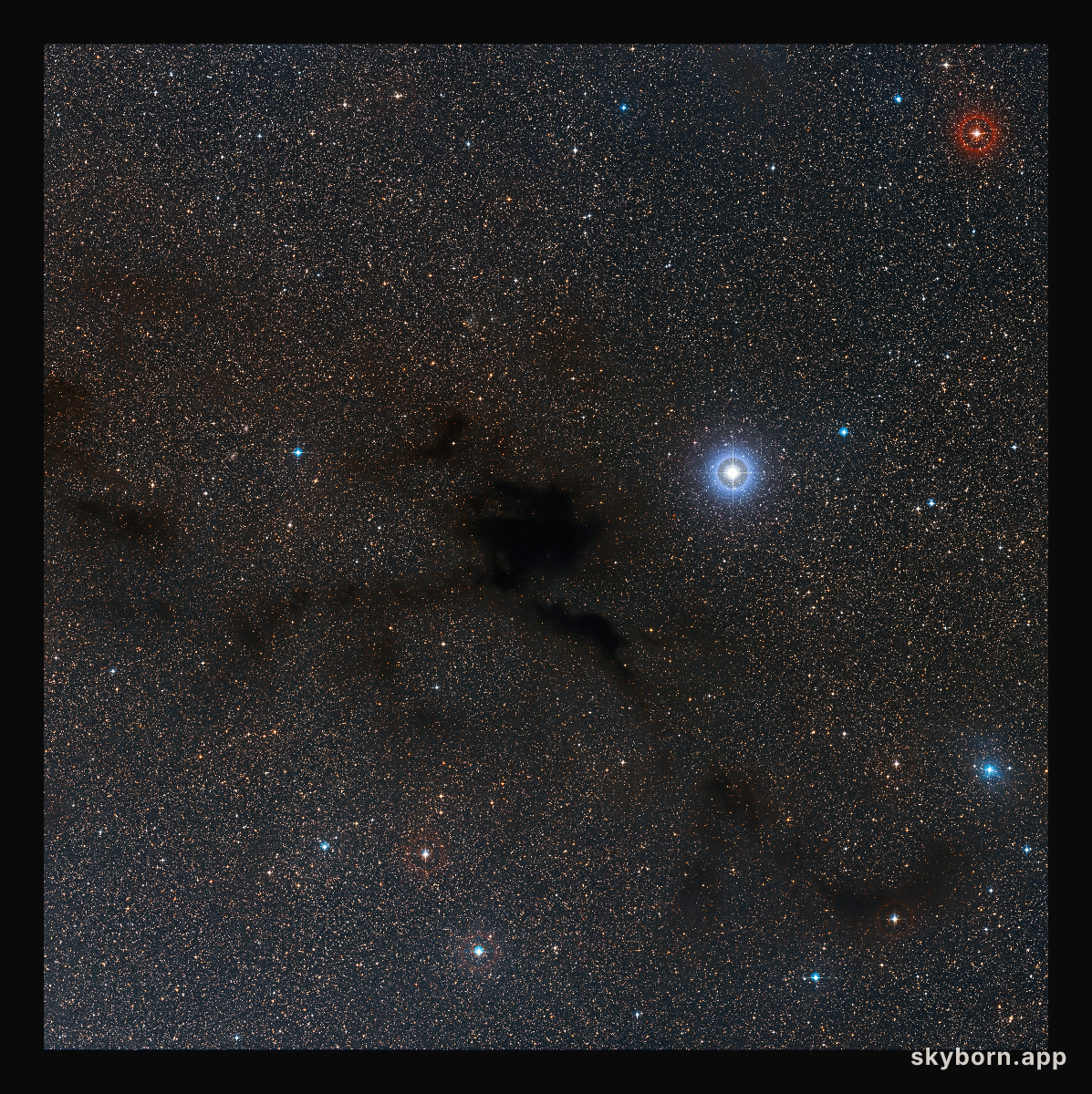 Wide-field view of the sky around the dark cloud Lupus 4