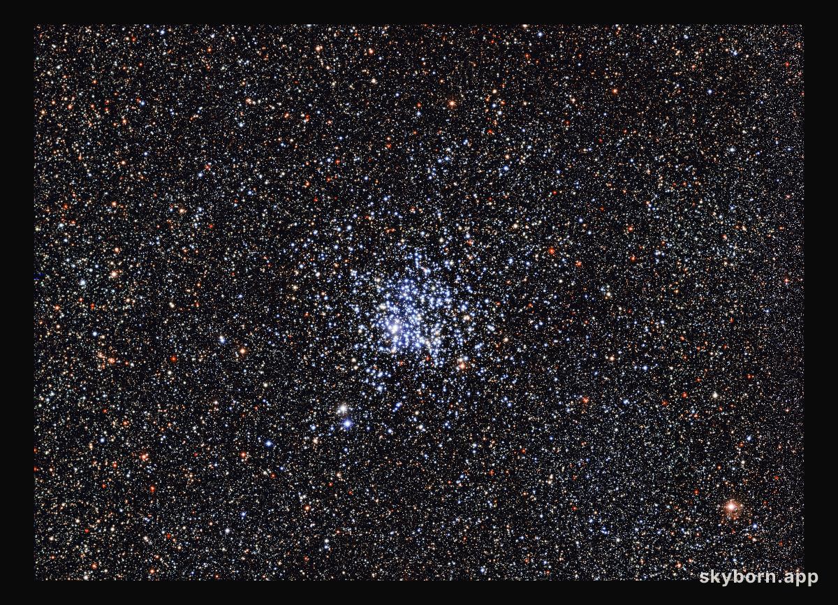 The Wild Duck cluster
