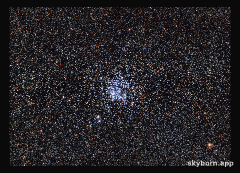 The Wild Duck cluster