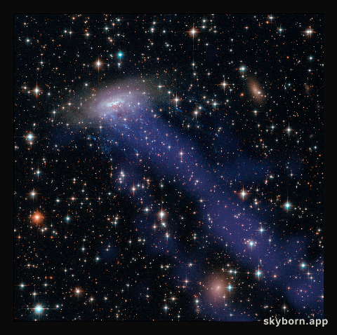 Hubble and Chandra composite of ESO 137-001