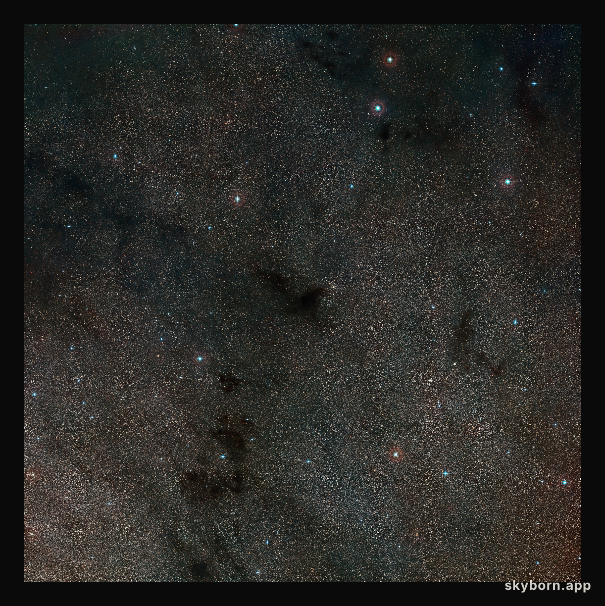 Wide-field view of the sky around the dark nebula LDN 483