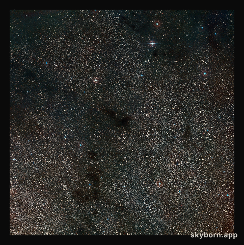 Wide-field view of the sky around the dark nebula LDN 483