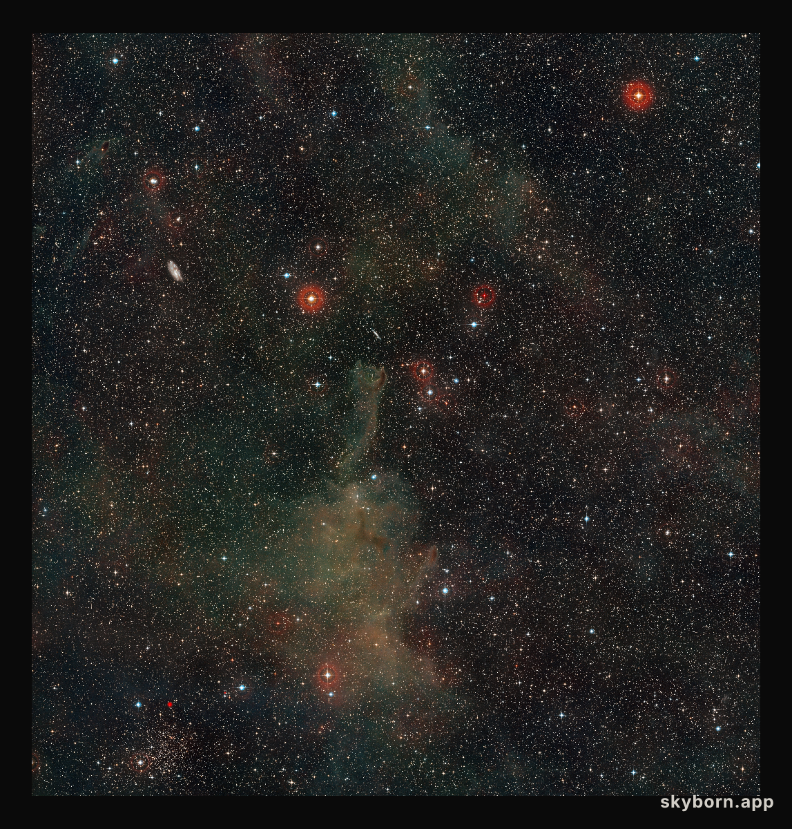 Wide-field view of the sky around the cometary globule CG4