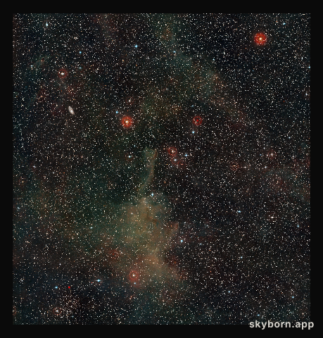 Wide-field view of the sky around the cometary globule CG4