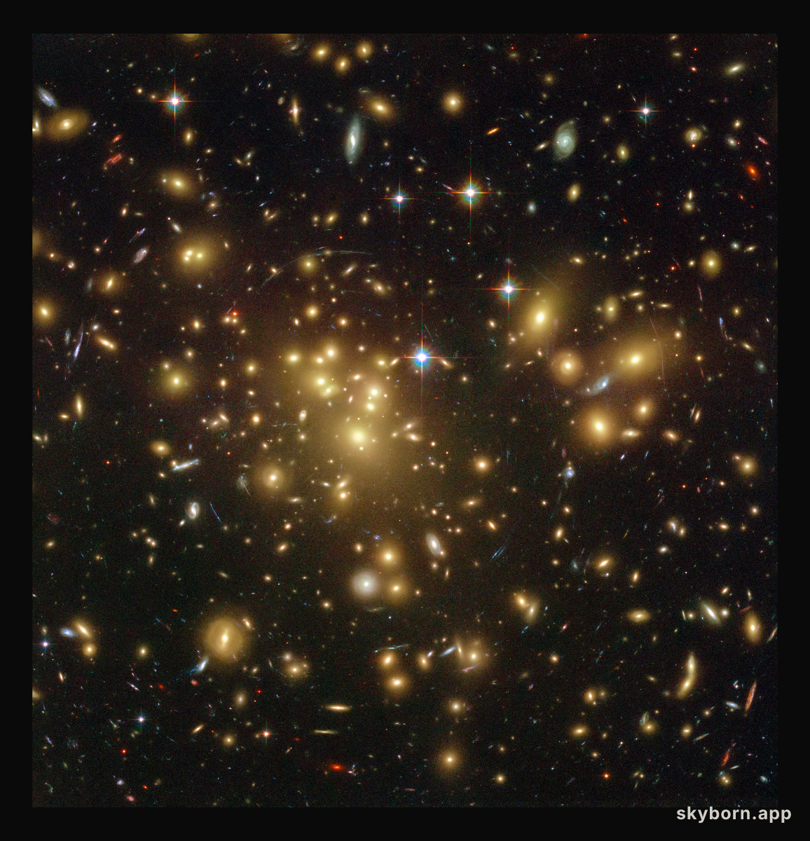 The distant dusty galaxy A1689-zD1 behind the galaxy cluster Abell 1689