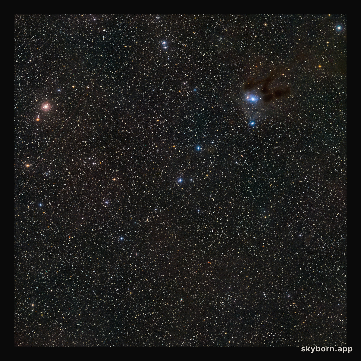 The sky around the young star MWC 480