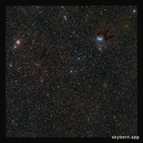 The sky around the young star MWC 480