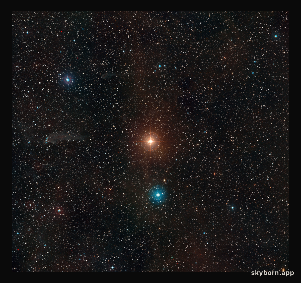 Wide-field view of the sky around the red giant star L2 Puppis