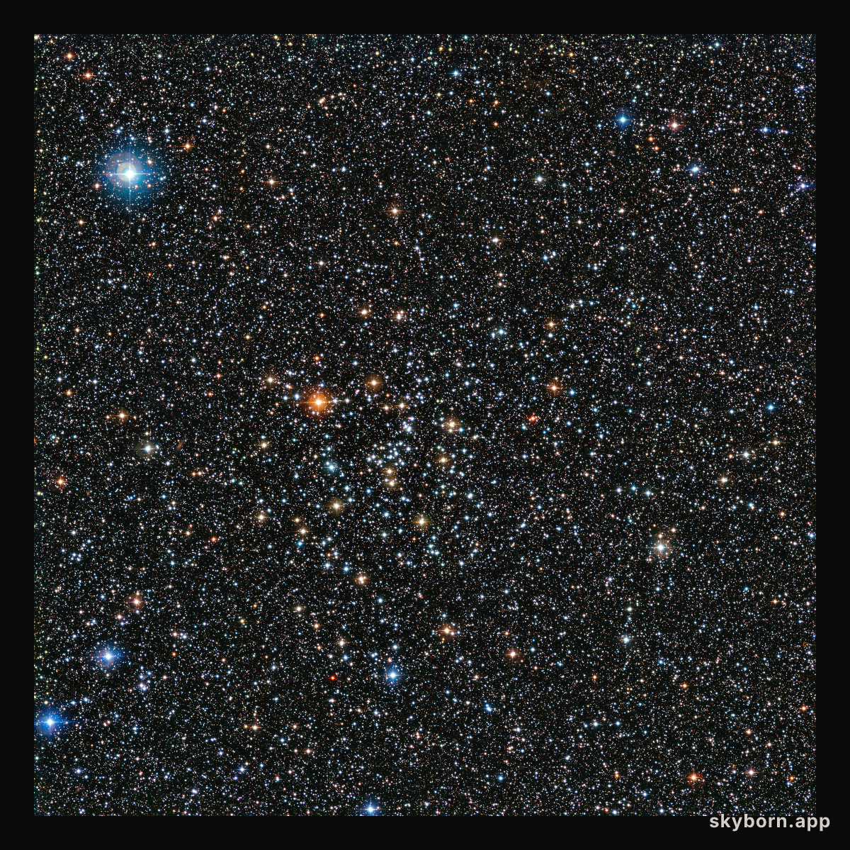 The rich star cluster IC 4651