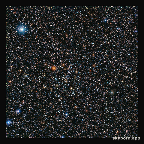 The rich star cluster IC 4651