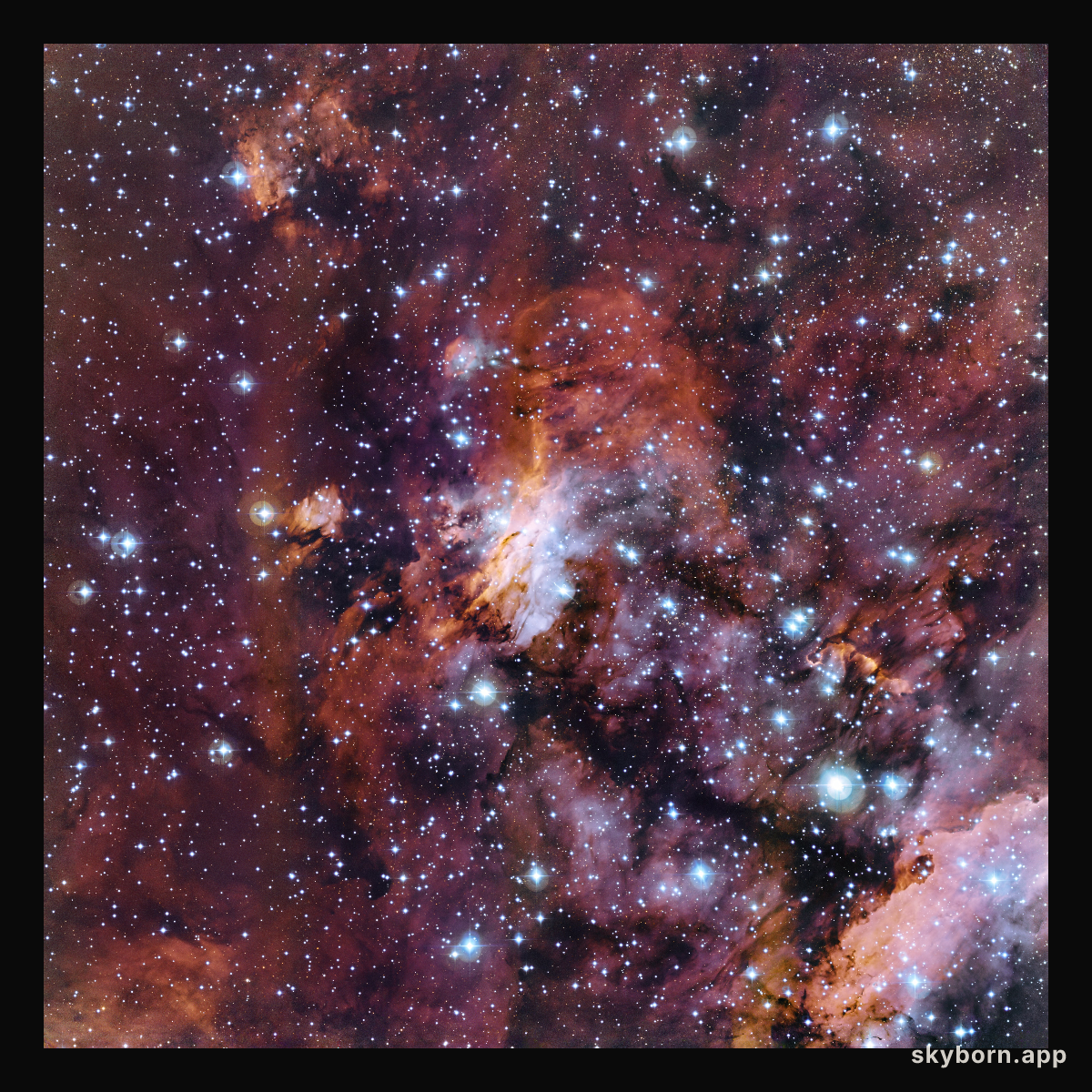 The Prawn Nebula in close-up