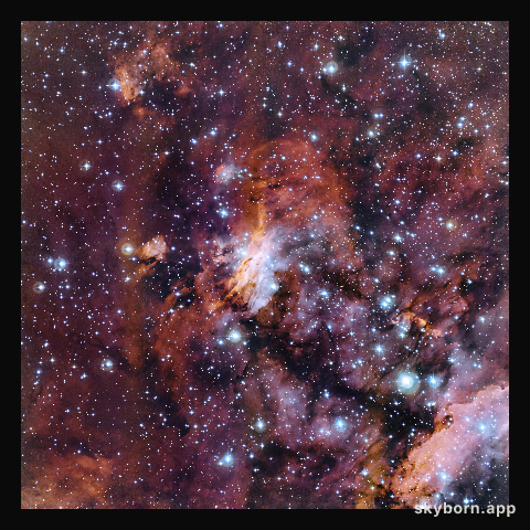 The Prawn Nebula in close-up