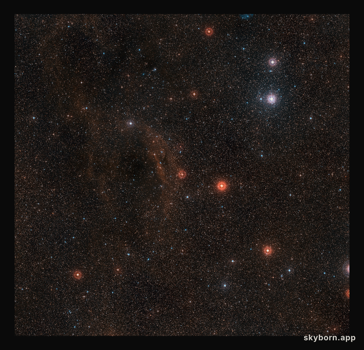 Wide-field view of the sky around VY Canis Majoris