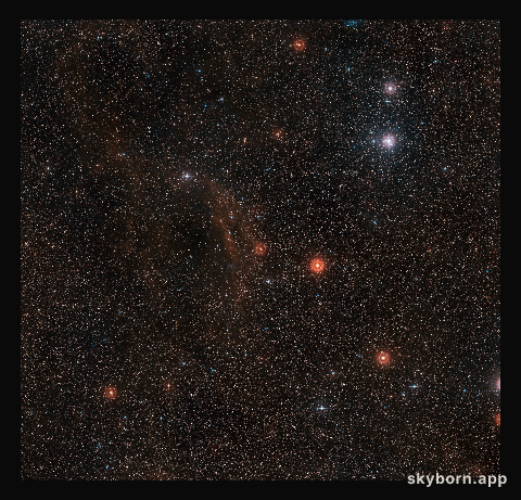 Wide-field view of the sky around VY Canis Majoris