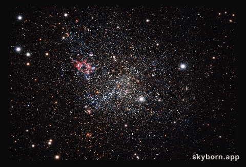 The dwarf galaxy IC 1613