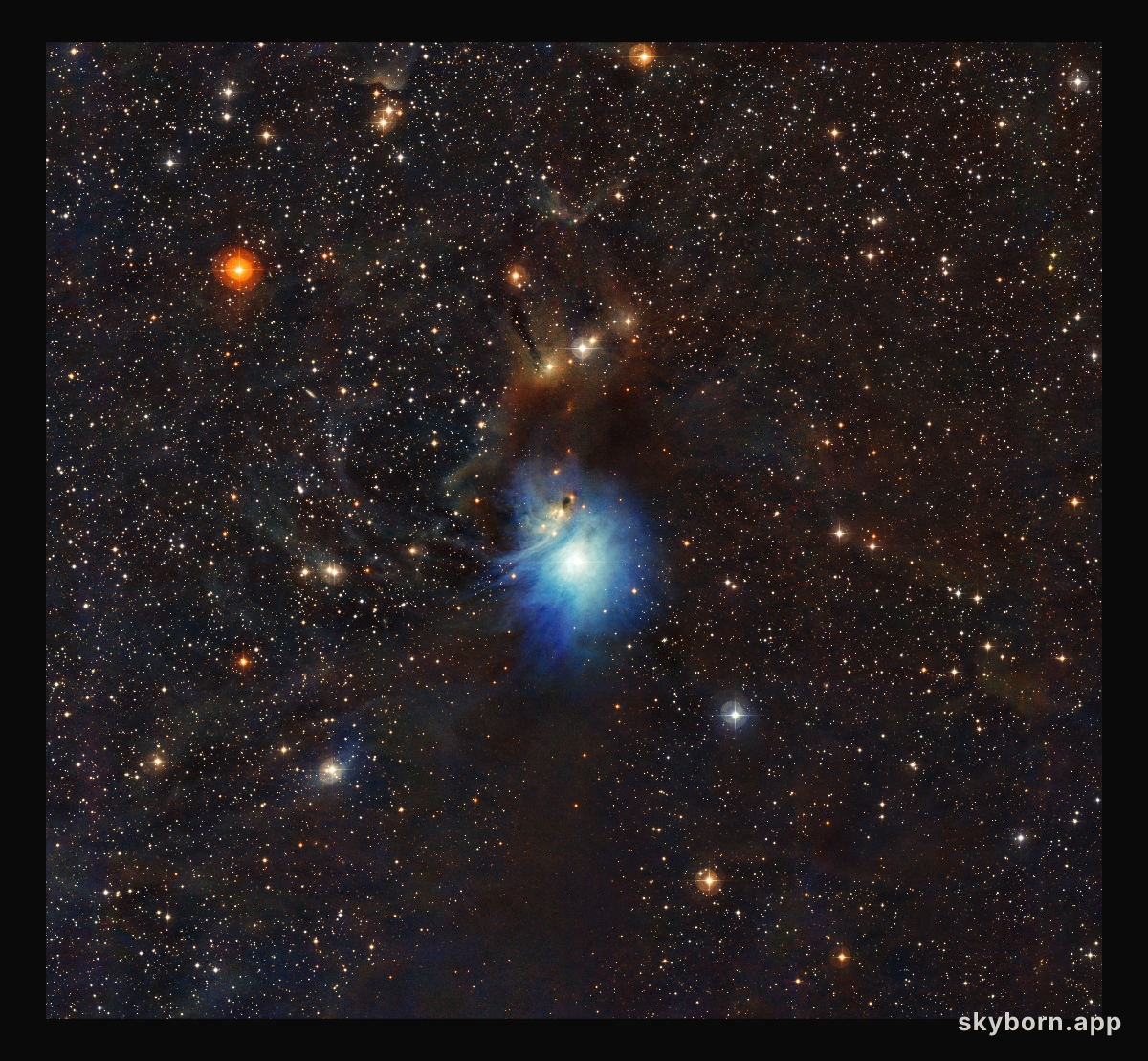 Young star lights up reflection nebula IC 2631