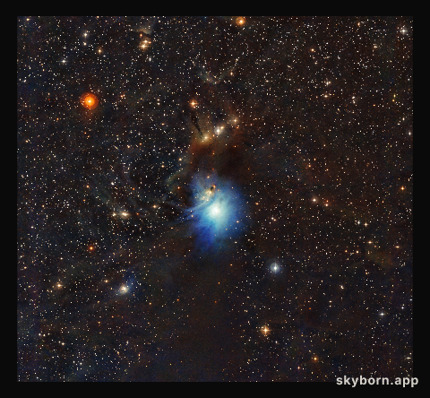 Young star lights up reflection nebula IC 2631