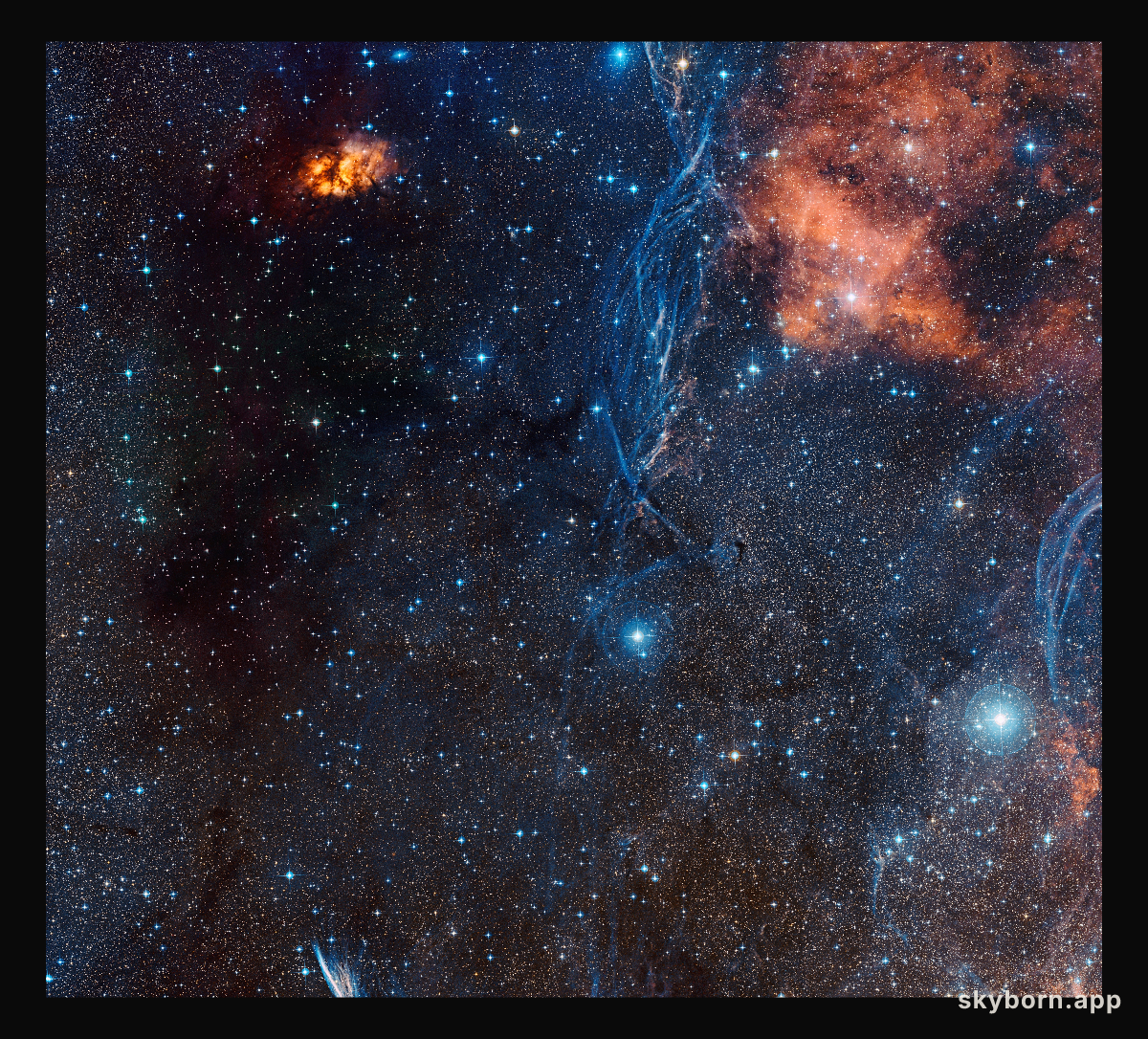The rich celestial landscape around the aging double star IRAS 08544-4431