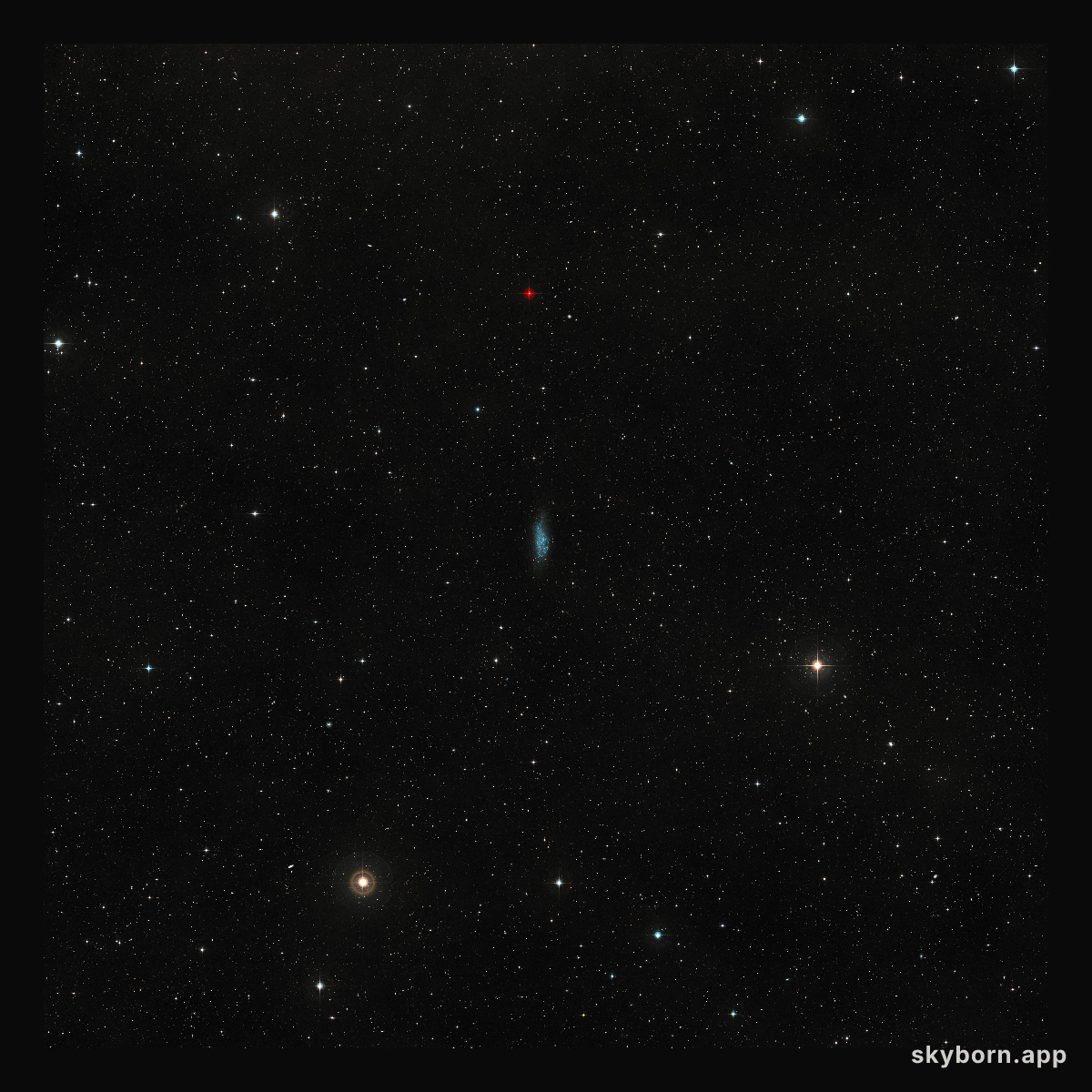 Wide-field view of the sky around the dwarf galaxy WLM