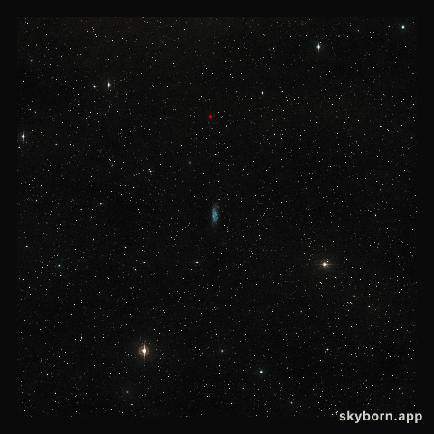 Wide-field view of the sky around the dwarf galaxy WLM