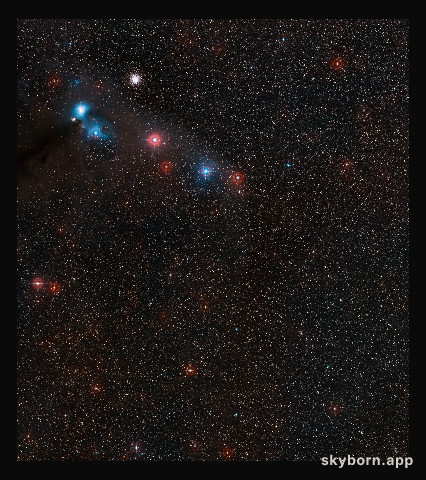 Wide field view of the sky around the very faint neutron star RX J1856.5-3754