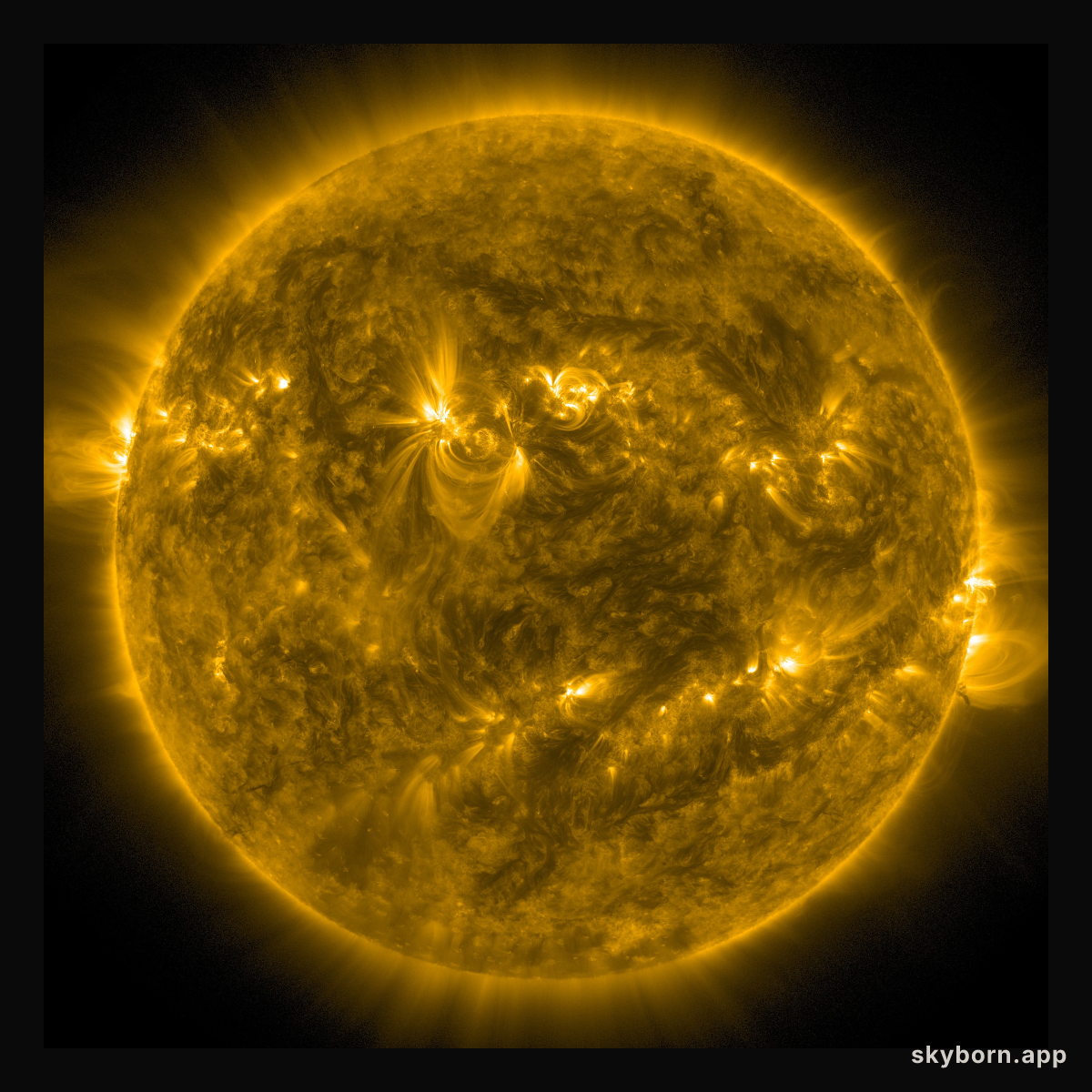 Full disk of the Sun