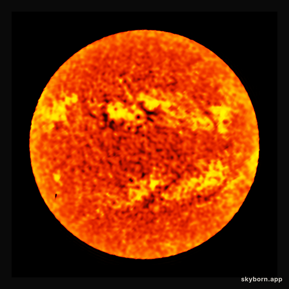 ALMA observes the Sun