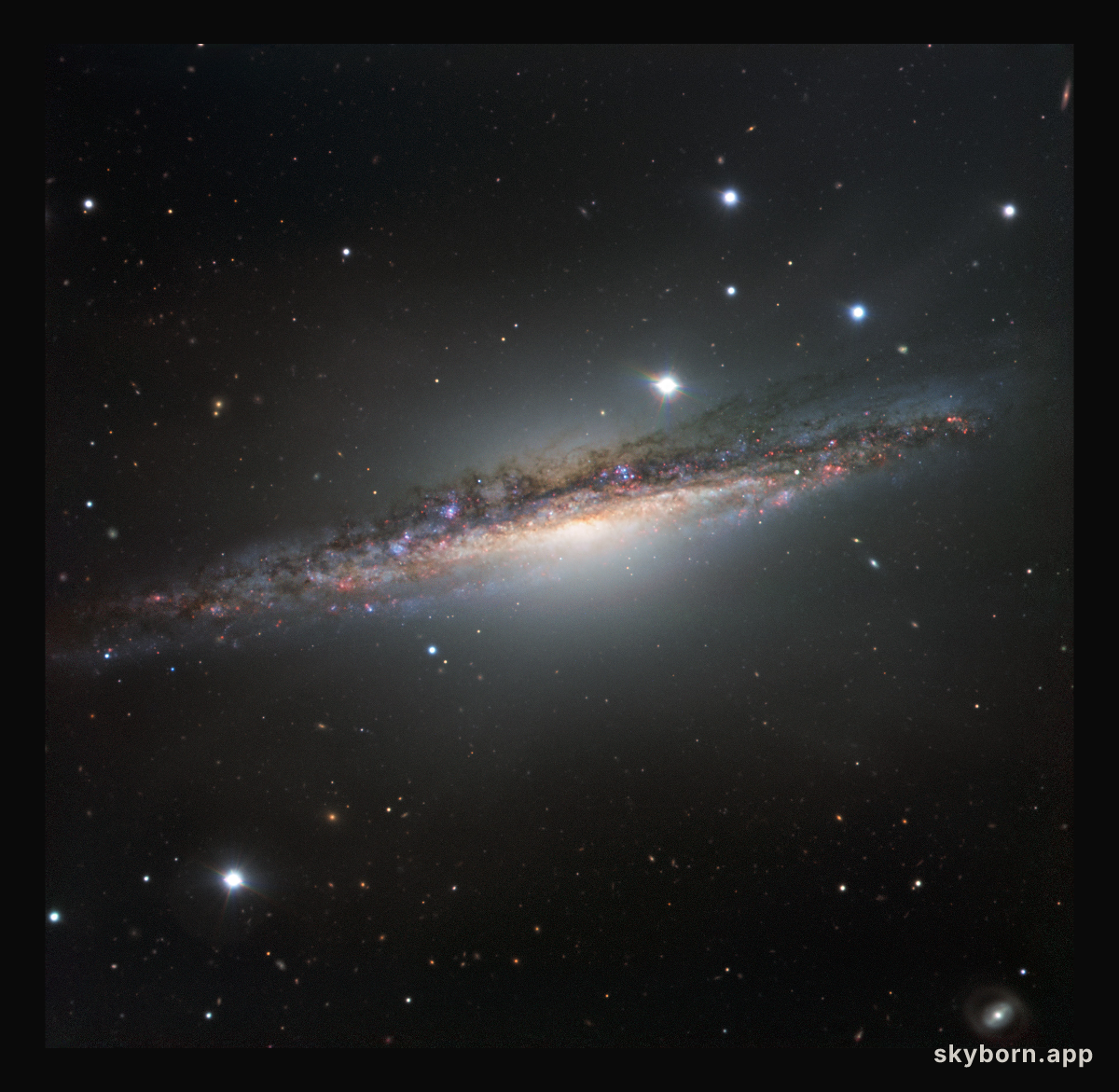 The edge-on galaxy NGC 1055