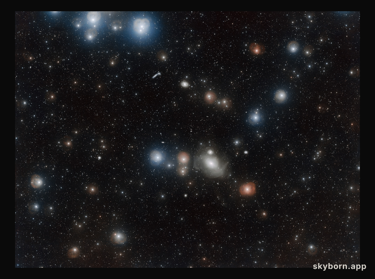 Revealing the galactic secrets of NGC 1316