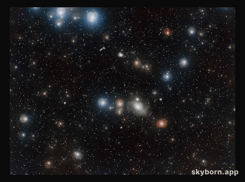 Revealing the galactic secrets of NGC 1316