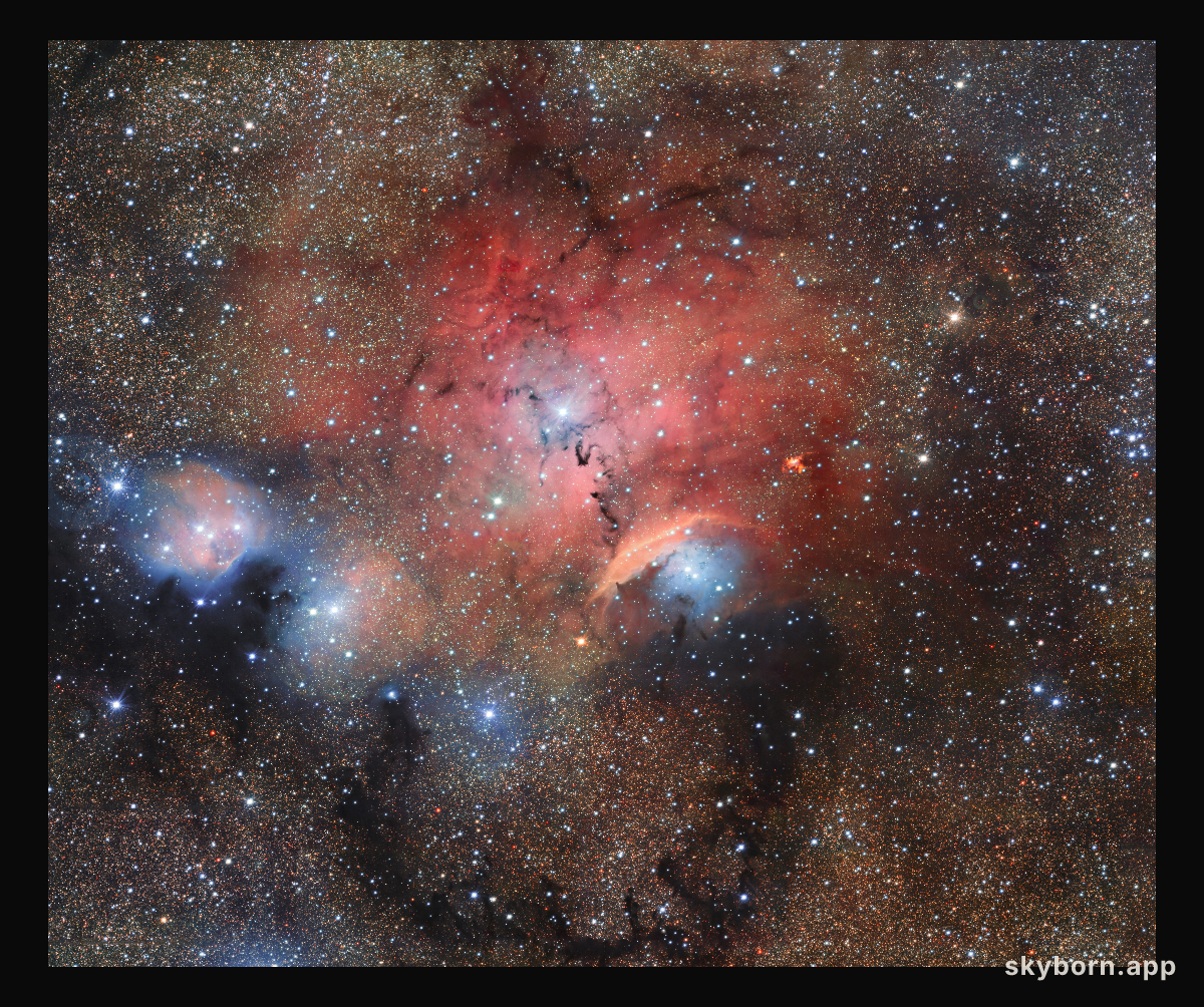 Stellar Nursery Blooms into View