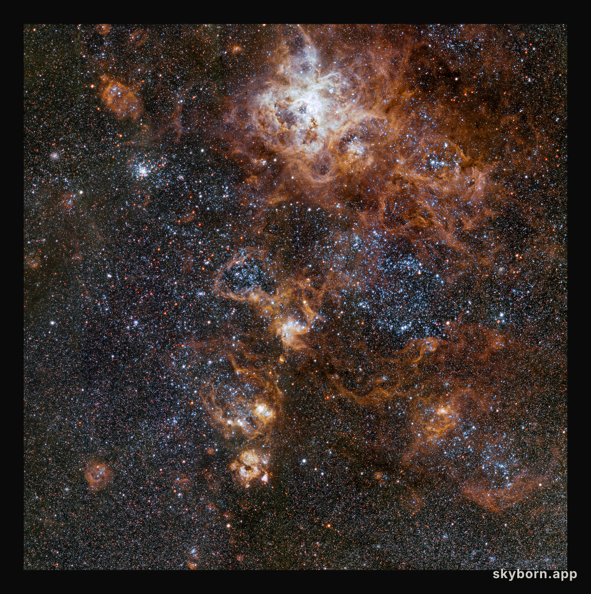 The rich region around the Tarantula Nebula in the Large Magellanic Cloud