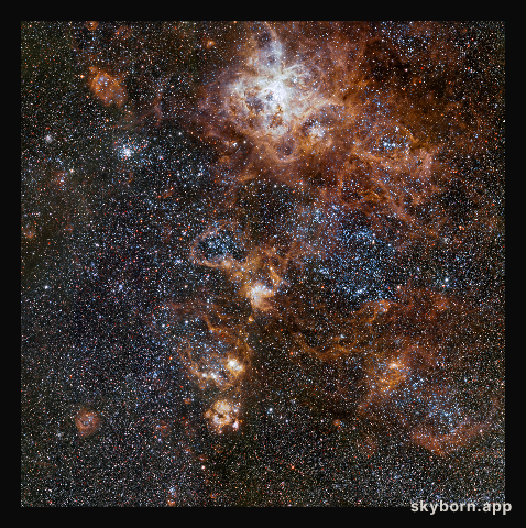 The rich region around the Tarantula Nebula in the Large Magellanic Cloud
