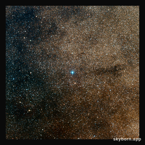 Surroundings of the young star HD 163296
