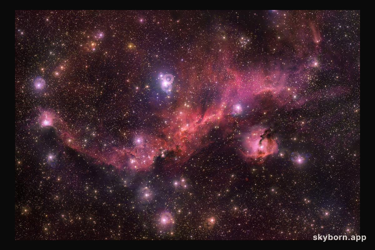The Rosy Glow of a Cosmic Seagull