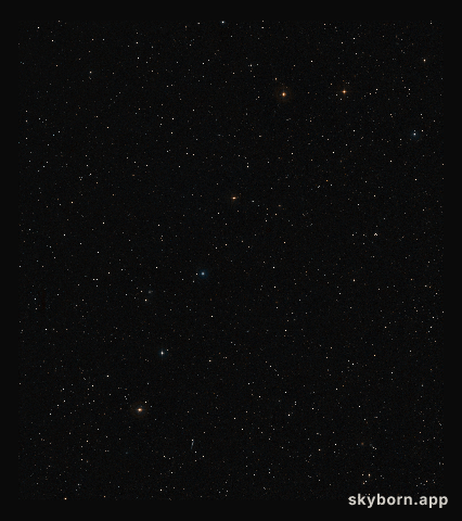 Wide-field view of the sky around the supermassive black hole’s web