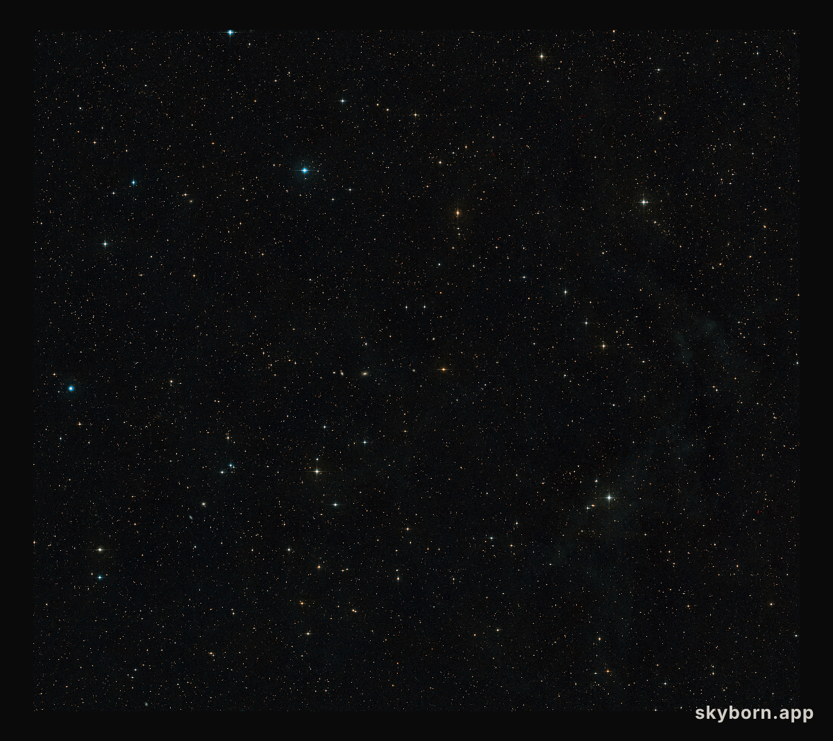 The sky around AT2019qiz