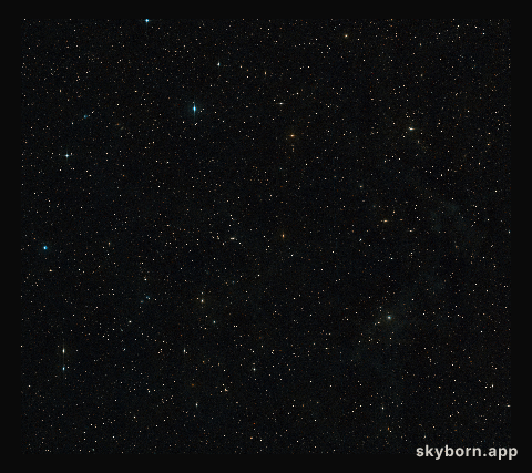 The sky around AT2019qiz
