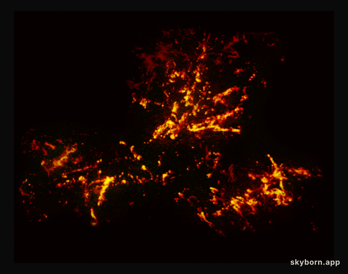 Radio image of the 30 Doradus nebula with data from ALMA
