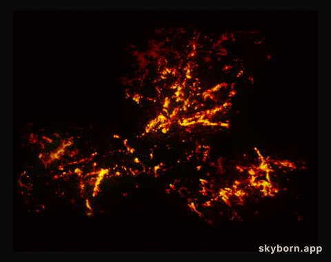 Radio image of the 30 Doradus nebula with data from ALMA
