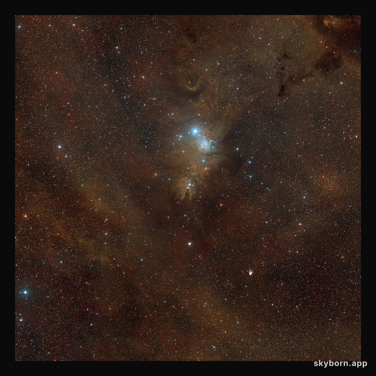 Wide-field view of the Cone Nebula region of the sky