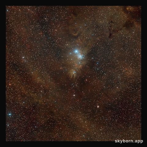 Wide-field view of the Cone Nebula region of the sky