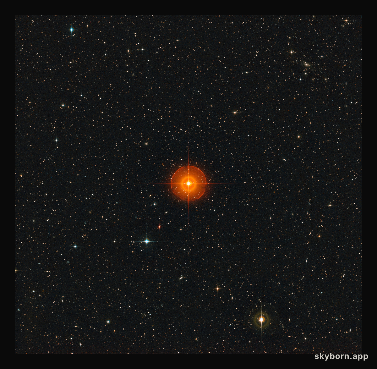 Wide-field view of the region of the sky around the R Doradus star
