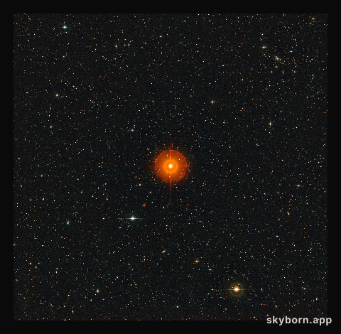 Wide-field view of the region of the sky around the R Doradus star