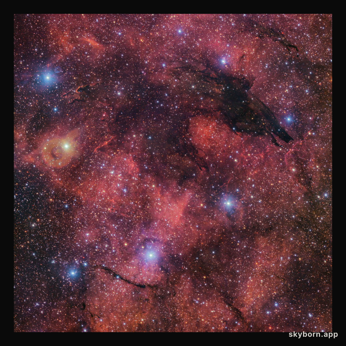 The Dark Wolf Nebula